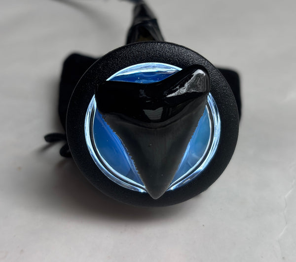 SHARK TOOTH START BUTTON