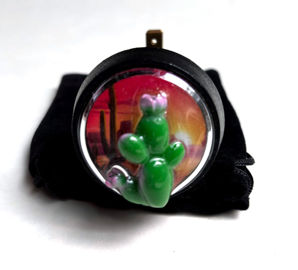 WESTERN CACTUS START BUTTON